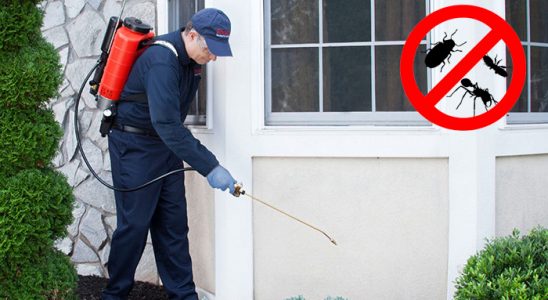 Gömeç Hamam Böceği İlaçlama böcek ilaçlama ve haşere kontrolü — ilaclama-tr.com